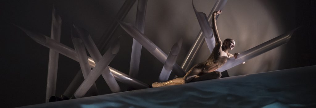 Les Ballets de Monte-Carlo - La Belle