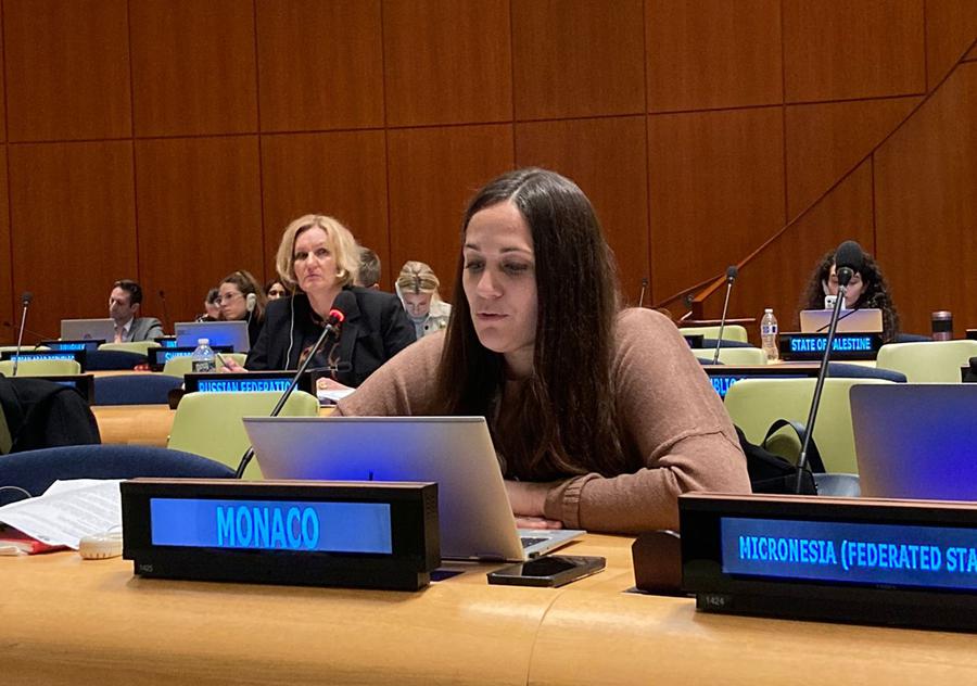 UN General Assembly's Sixth Committee