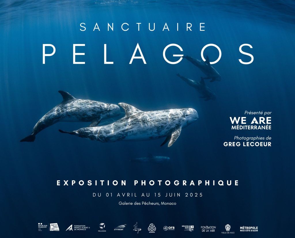 Sanctuaire Pelagos exhibition in Monaco