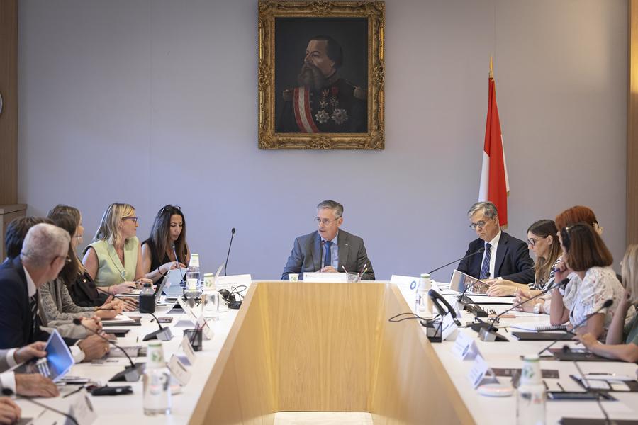 15th meeting of the Committee for Graduate Employment